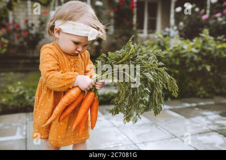 Baby Mädchen hält Karotten im Garten Kind essen gesunde Ernährung Lebensstil vegan Bio-Rohgemüse Home gewachsen Sommer Gartenarbeit Konzept Stockfoto