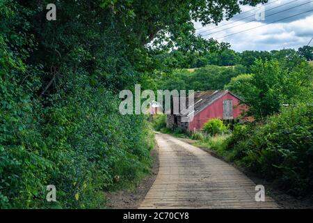 Betonplatten-Pfad, der sanft zu einem roten Wellblech-Scheune in der Landschaft Wealden, East Sussex an einem Sommernachmittag führt Stockfoto