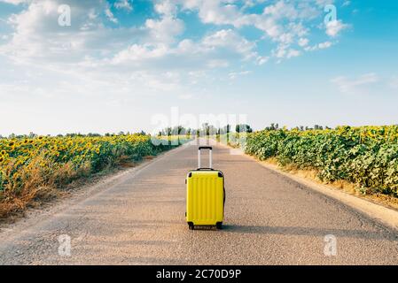 Gelber Koffer auf einer Straße mit Sonnenblumen Stockfoto