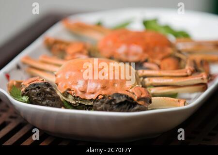 chinesische Haarkrabbe im Teller Stockfoto