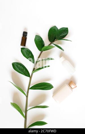 Flach legen die Zusammensetzung mit einem Zweig von zamiokulkas und Flaschen von Körper oder Gesichtscreme, eine Glasflasche braun aromatischen Öls auf weißem Hintergrund. C Stockfoto