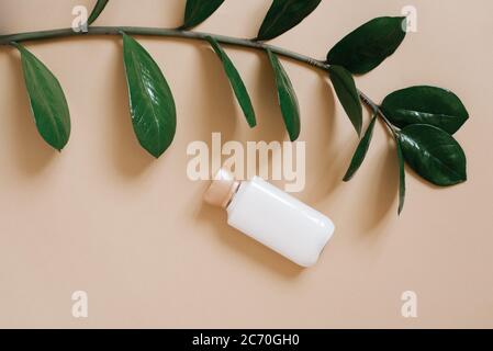 Healthcare Spa-Konzept. Eine Flasche Flüssigseife oder Duschgel auf einem beigen Hintergrund mit einem Zweig der grünen tropischen Pflanze zamiokulkas. Flach liegend Stockfoto