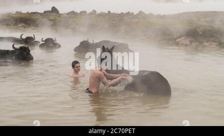 Guroymak, Bitlis, Türkei - Februar 2020: Jungen waschen ihr Pferd im Thermalwasser, Konzept der Freundschaft mit Haustieren, Tierdusche Stockfoto
