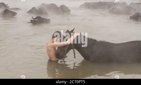 Guroymak, Bitlis, Türkei - Februar 2020: Kleiner Junge und sein Pferd im Thermalwasser, Freundschaft mit Haustieren, Tierdusche Stockfoto