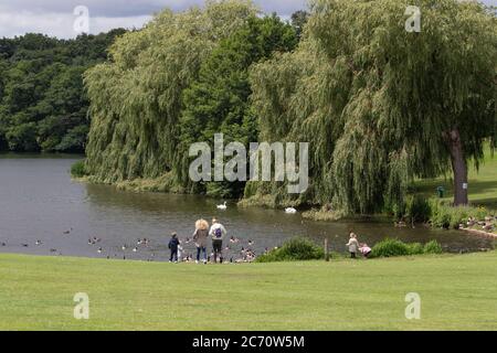 Eine kleine Gruppe von Menschen mit Kindern füttert Kanadagänse am See in Himley Hall. 10th. Juli 2020. Britische Inseln Stockfoto