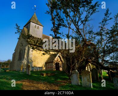 Sehen Sie nordöstlich von Dunsfold späte C13th Kirche, Surrey, England, UK, auf einem künstlichen Hügel neben einem alten Eibenbaum. Ein denkmalgeschütztes Gebäude der Klasse I: 1270-90. Stockfoto