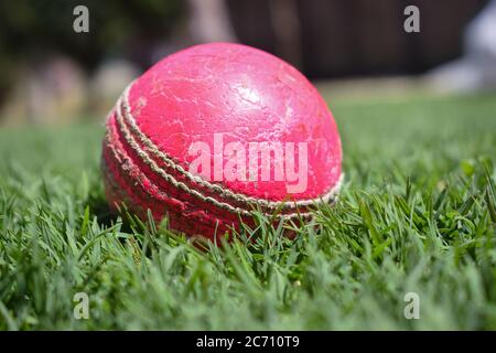 Ball isoliert auf einem grünen Hintergrund. Stockfoto