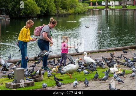 The Lough, Cork, Irland. Juli 2020. Die Menschen genießen den Lough, Cork City, an einem bewölkten, aber feuchten Tag. Der Rest des Tages wird aus Sonnenschein und Duschen mit Höhen von 15 bis 20 Grad bestehen. Quelle: AG News/Alamy Live News Stockfoto