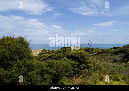 Arai te Uru Recreation Reserve Panoramablick über Landschaft und Meer Stockfoto