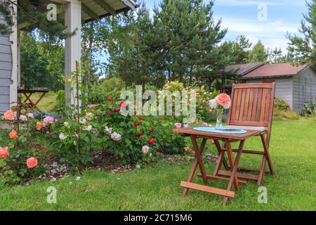 Romantische Sitzecke im Rosengarten, runden Holztisch und Stühlen in der Nähe der grossen blühenden Büschen der Englischen Rosen Stockfoto