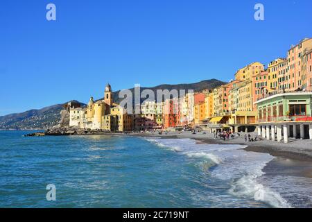 Camogli. Die Promenade, der Strand und die Palazzata, ein Vorhang aus Gebäuden aus dem 19. Jahrhundert, sehr hoch entwickelt und in hellen Farben gemalt. Stockfoto