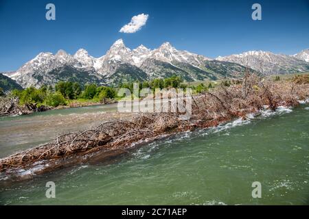 Im Sommer sind die Grand Teton Peaks in Wyoming, USA, zu sehen Stockfoto