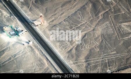 Nazca, Peru - August 2017: Baumfigur aus der Nasca-Linie, Nazca, Peru Stockfoto