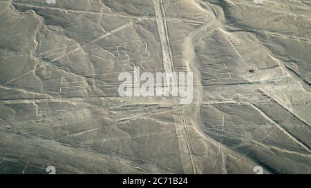 Nazca, Peru - August 2017: Der Pelikan wie in der Nasca-Linie, Nazca, Peru gesehen Stockfoto