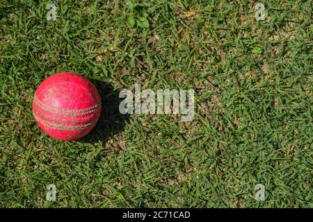 Cricket Ball isoliert auf grünem Gras. Stockfoto