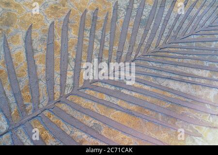 Palmenblättrige Schatten an einem tropischen Strand. Modernes Urlaubskonzept. Selektiver Fokus. Stockfoto