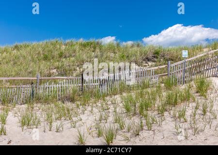 Küstenlandschaft mit Düne, Strandgras und Zaun unter einem tiefblauen Himmel mit weißer Wolke an einem sonnigen Sommertag Stockfoto