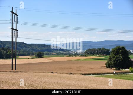 Blick auf den Stromübertragungsturm von Hochspannungsstrom in der Mitte des reifen Feld der Pflanze in der Schweiz Landschaft während sonnigen Sommer Stockfoto