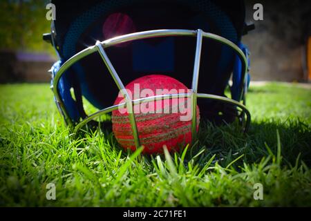 Rosa Cricket Ball mit Halmet auf grünem Gras. Cricket ist ein Sport. Stockfoto