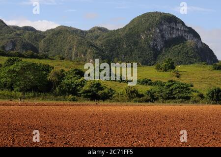 Blick auf das Tabaktal Viniales in Kuba Stockfoto