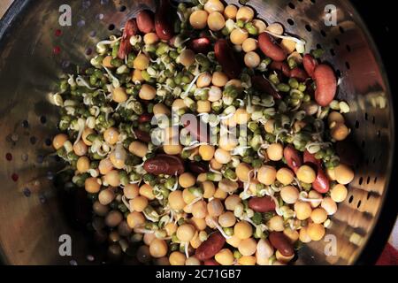 Gruppe von Bohnen. Sammlung von Hülsenfrüchten (grüne Erbsen, grüne Mungbohnen, rote Niere, trockene Erbsen) in einer Schüssel. Haufen von verschiedenen Hülsenfrüchten. Stockfoto