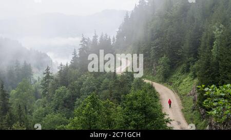 Giresun Türkei Juli 2016: Bewaldeter Berghang mit einer kleinen Straße in niedrig liegenden Wolke im Nebel mit den immergrünen Nadelbäumen in Nebel gehüllt in einer landschaftlich Stockfoto