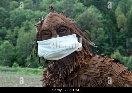 Bigfoot trägt COVID-19 Antivirus-Maske, Forest Edge, North American Folklore, Bigfoot oder Sasquatch sind angeblich haarig, aufrecht zu Fuß Affe-like. Stockfoto
