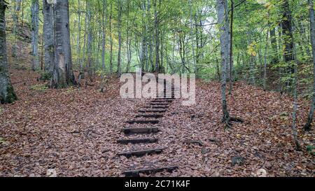 Yedigoller Nationalpark, Bolu - November 2017: Herbstlandschaft in sieben Seen Stockfoto