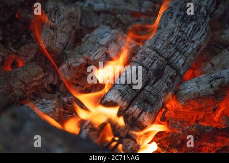 Feuer Holz, Kohle und Bernsteinasche Nahaufnahme. Rote Zungen von Flamme und glühendem Bernstein. Konzept von Zuhause und Wärme. Nahaufnahme des brennenden Brennholzes in der Stockfoto