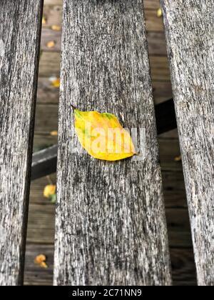 Nahaufnahme getrocknetes gelbes Herbstblatt auf einem Holztisch Stockfoto