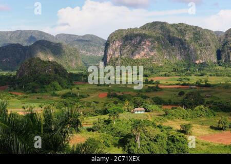 Blick auf das Tabaktal Viniales in Kuba Stockfoto