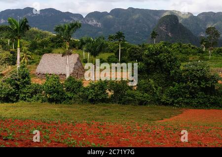 Blick auf das Tabaktal Viniales in Kuba Stockfoto