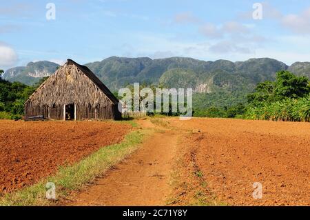 Blick auf das Tabakhaus Viniales Tal in Kuba Stockfoto