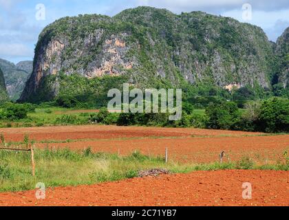 Blick auf das Tabaktal Viniales in Kuba Stockfoto