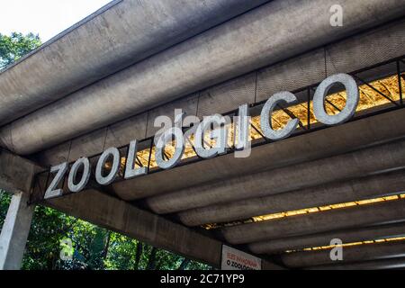 Sao Paulo, Sao Paulo, Brasilien. Juli 2020. (INT) Wiedereröffnung des Sao PauloÃ¢â‚¬â„¢Zoo. 13. Juli 2020, Sao Paulo, Brasilien: Bewegung der Menschen im Zoo Sao PauloÃ¢â‚¬â„¢während der Wiedereröffnung der städtischen Parks und Akademien in Sao Paulo nach fast 3 Monaten der Schließung wegen der covid-19 Pandemie in der Nachbarschaft der Agua Funda Süd-Zone von Sao Paulo.Kredit: Van Campos/Thenews2 Kredit: Van Campos/TheNEWS2/ZUMA Wire/Alamy Live News Stockfoto