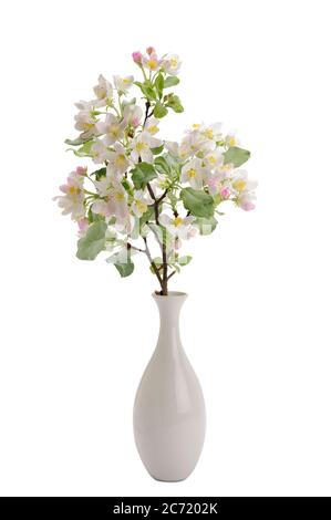 Zweig der blühenden Apfelblüten in einer Vase Stockfoto