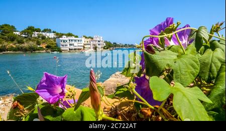 Leere Promenade in Porto Petro, Ferienort im Süden von Mallorca , Europa, Balearen, Spanien, es, Reisen, Tourismus, Ziel, Sehenswürdigkeiten Stockfoto