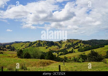 Typisches neuseeländisches Tal mit grünen Hügeln und einem blauen Himmel mit Wolken im "Northland" der Nordinsel Stockfoto