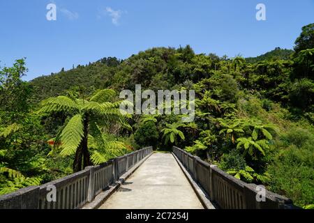 Bridge to Nowhere - Whanganui National Park - Blick über die Brücke Stockfoto