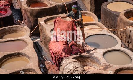 Fez, Marokko - April 2018: Mann, der als Gerber in den Farbtöpfen der Ledergerbereien arbeitet, die von der Terrasse de Tanneurs in der alten Medina aus gesehen werden Stockfoto
