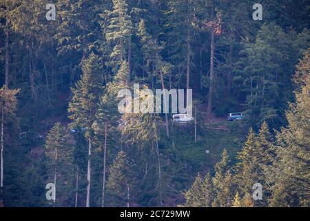 Oppenau, Deutschland. Juli 2020. Polizeifahrzeuge fahren durch den Wald bei Oppenau. Mit einem großen Kontingent setzte die Polizei am Montag die Suche nach einem 31-Jährigen fort, der vier Polizisten in Oppenau im Schwarzwald bedroht und ihnen ihre Dienstwaffen weggenommen hatte. Der Mann, der keinen festen Wohnsitz hat, war nach dem Verbrechen am Sonntagmorgen in den Wald geflohen. Quelle: Philipp von Ditfurth/dpa/Alamy Live News Stockfoto