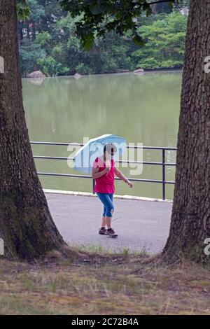 Eine Frau mittleren Alters, die eine OP-Maske trägt und einen Regenschirm trägt, macht einen Spaziergang um den See im Kissena Park, Flushing, New York City. Stockfoto