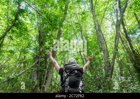 Weibliche Wanderin mit ausgestreckten Armen unter dem Baumkronen. Waldbaden, shinrin yoku. Stockfoto