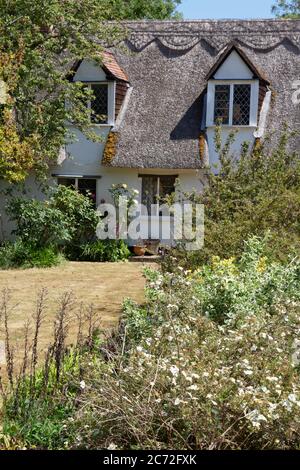 Traditionelles englisches Reethaus und Hüttengarten, das Suffolk Dorf Dalham, Suffolk England Großbritannien Stockfoto