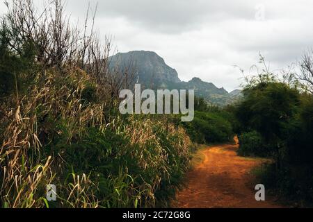 Staubweg zum Berg, in der Nähe der Makauwahi Höhle, Kauai Hawaii USA Stockfoto