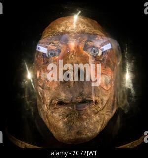 Jeremy Bentham - mumifizierter Kopf, ausgestellt am University College London Stockfoto