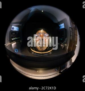 Jeremy Bentham - mumifizierter Kopf, ausgestellt am University College London Stockfoto