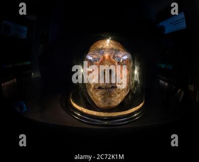 Jeremy Bentham - mumifizierter Kopf, ausgestellt am University College London Stockfoto