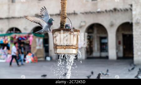 Doha, Katar - Februar 2019: Der alte Brunnen Brunnen Brunnen und Tauben vor Al Fanar Gebäude, in Souq Waqif, Doha, Katar. Stockfoto