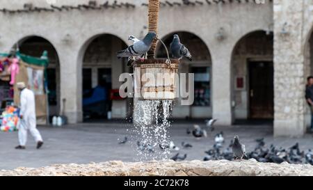 Doha, Katar - Februar 2019: Der alte Brunnen Brunnen Brunnen und Tauben vor Al Fanar Gebäude, in Souq Waqif, Doha, Katar. Stockfoto